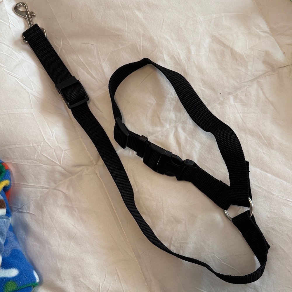 Black Adjustable Vehicle Dog Collar/Harness